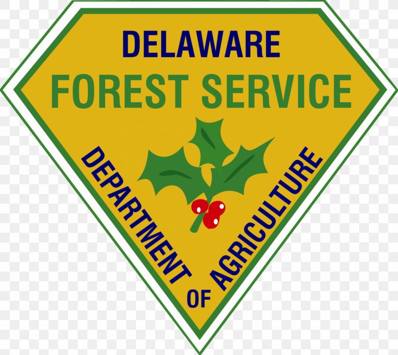 United States Forest Service Forestry Delaware Department Of Agriculture United States Department Of Agriculture, PNG, 1343x1200px, United States Forest Service, Arbor Day, Arbor Day Foundation, Area, Brand Download Free