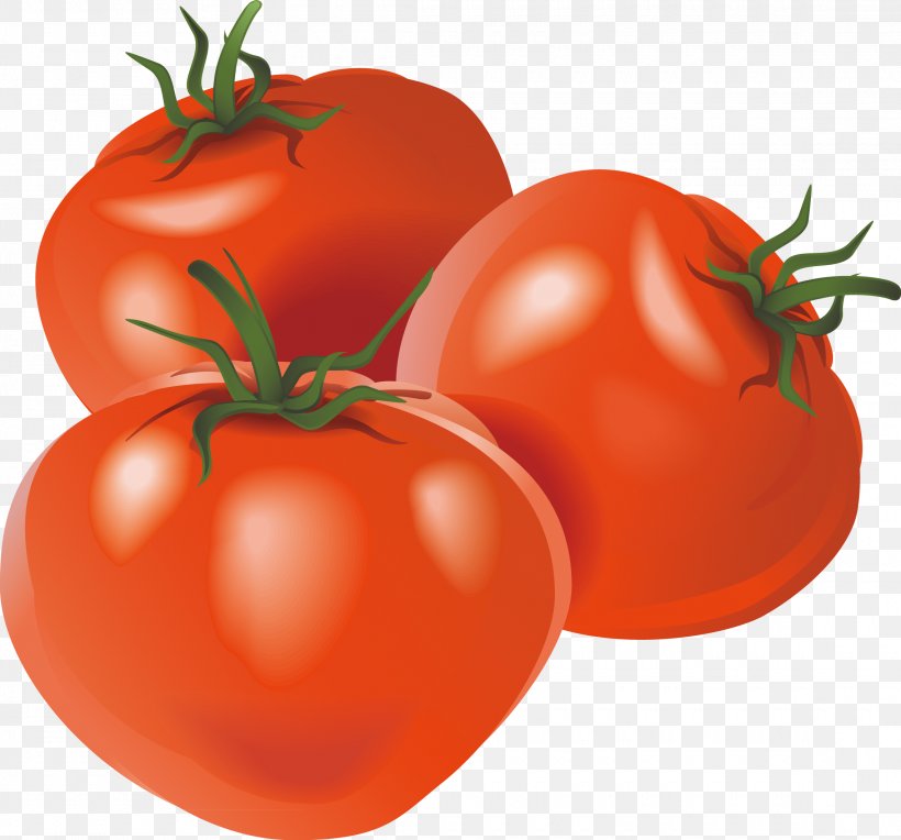 Vegetable Tomato Illustration, PNG, 2280x2127px, Vegetable, Auglis, Banco De Imagens, Bush Tomato, Cucumber Download Free