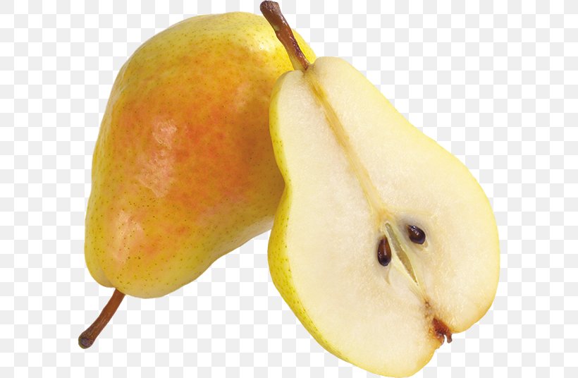 Asian Pear Food Pyrus × Bretschneideri Fruit, PNG, 600x536px, Asian Pear, Accessory Fruit, Amygdaloideae, Callery Pear, Conference Pear Download Free
