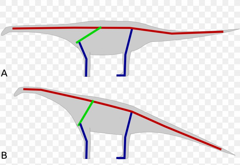 Opisthocoelicaudia Euhelopus Gobi Desert Diplodocus Brachiosaurus, PNG, 2900x2000px, Opisthocoelicaudia, Apatosaurus, Area, Brachiosaurus, Dinosaur Download Free