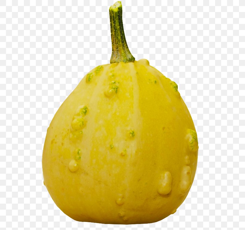 Pattypan Squash Summer Squash Winter Squash Cucurbita Vegetarian Cuisine, PNG, 565x768px, Pattypan Squash, Bell Pepper, Calabaza, Capsicum, Citron Download Free