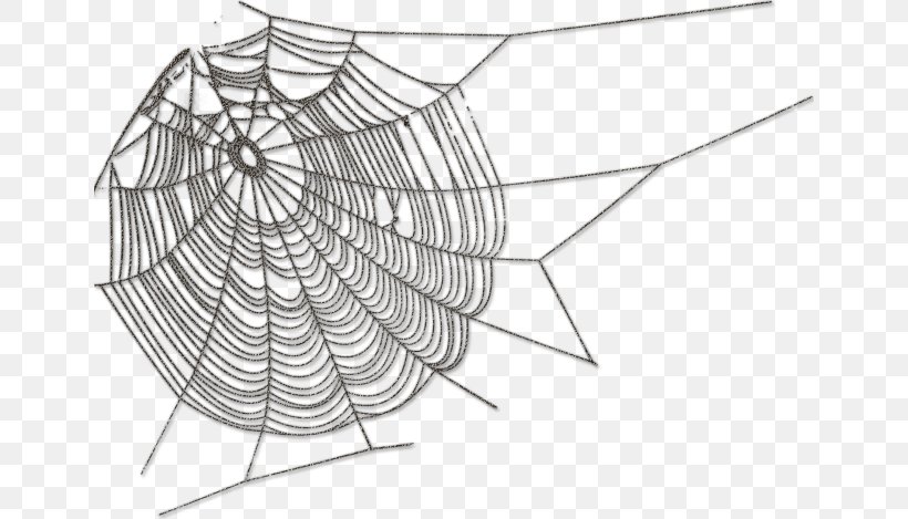 Spider Web Spider Silk, PNG, 650x469px, Spider Web, Animation, Arachnid, Area, Artwork Download Free