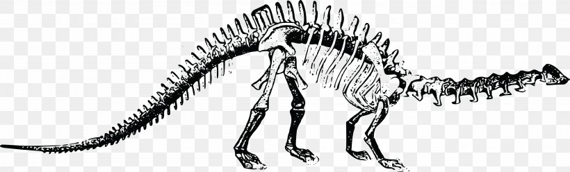 Brontosaurus Tyrannosaurus Stegosaurus Diplodocus Plesiosauria, PNG, 4000x1210px, Brontosaurus, Animal Figure, Artwork, Black And White, Bone Download Free