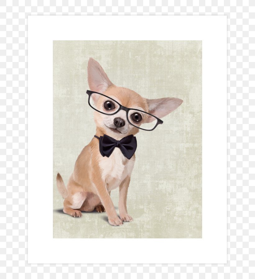 Chihuahua Puppy Printing Dachshund Art, PNG, 740x900px, Chihuahua, Art, Blanket, Canvas, Canvas Print Download Free