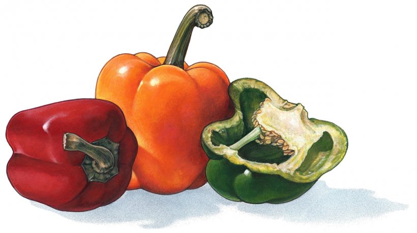 Habanero Bell Pepper Cayenne Pepper Chili Pepper Vegetable, PNG, 1280x717px, Habanero, Bell Pepper, Bell Peppers And Chili Peppers, Capsicum, Capsicum Annuum Download Free
