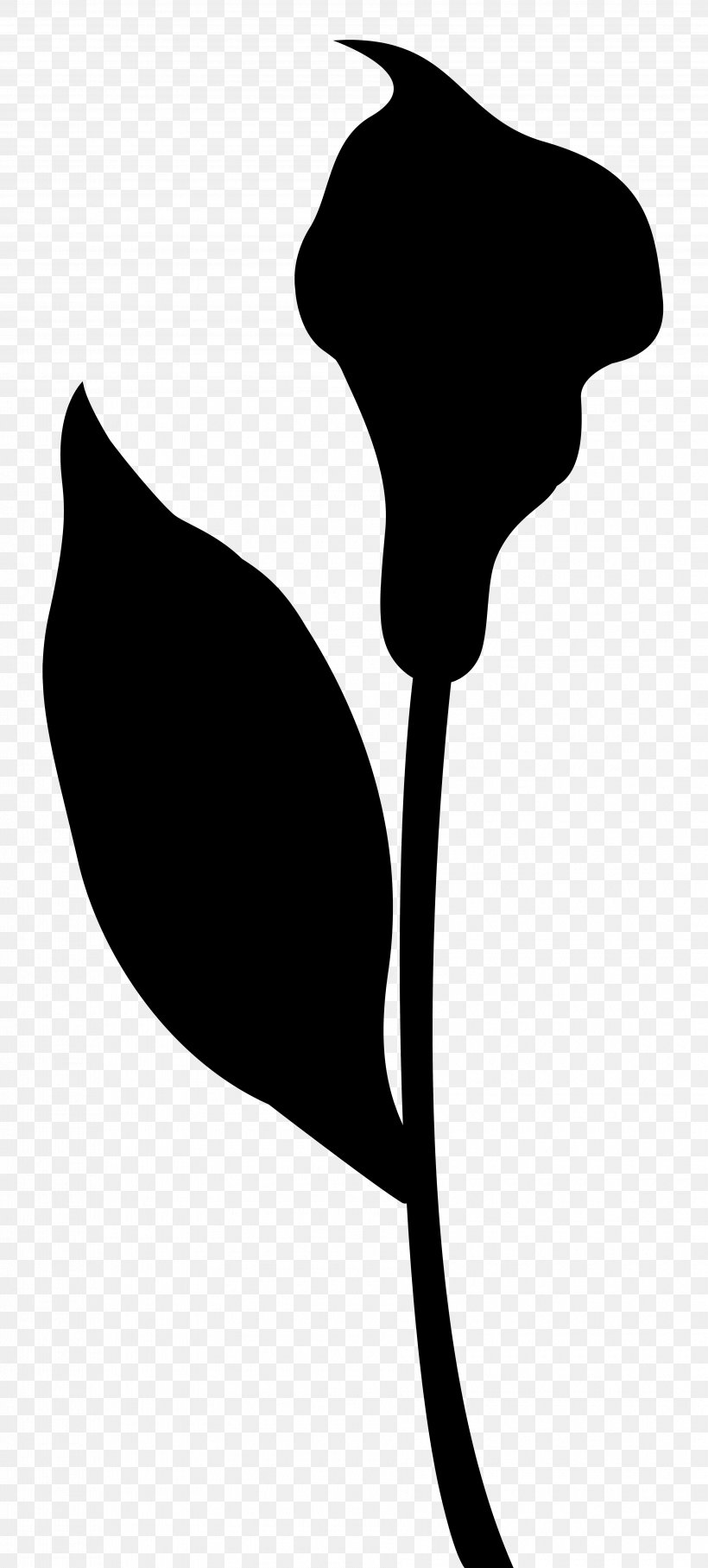 Leaf Clip Art Silhouette Line Neck, PNG, 3610x8000px, Leaf, Alismatales, Anthurium, Arum Family, Blackandwhite Download Free