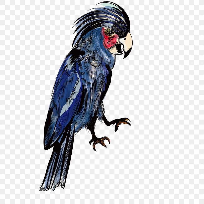 Parrot Macaw Blue, PNG, 1600x1600px, Parrot, Animal, Beak, Bird, Blue Download Free