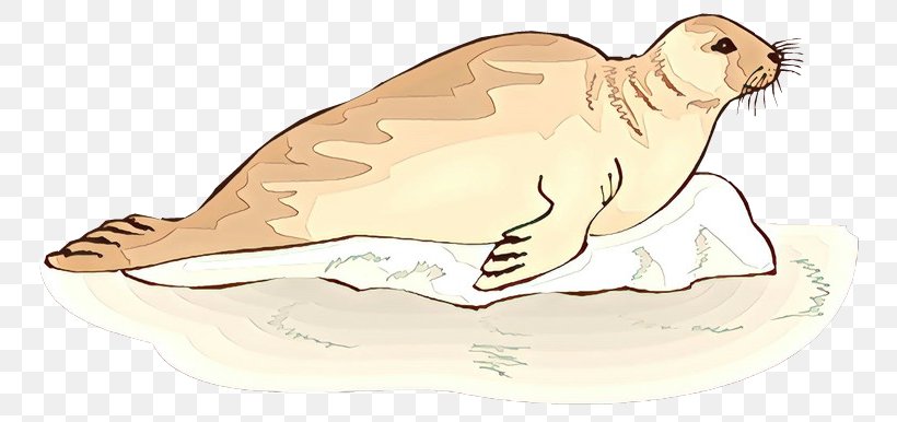 Sea Lion Clip Art Illustration /m/02csf Hare, PNG, 750x386px, Sea Lion, Animal, Animal Figure, Art, Beak Download Free