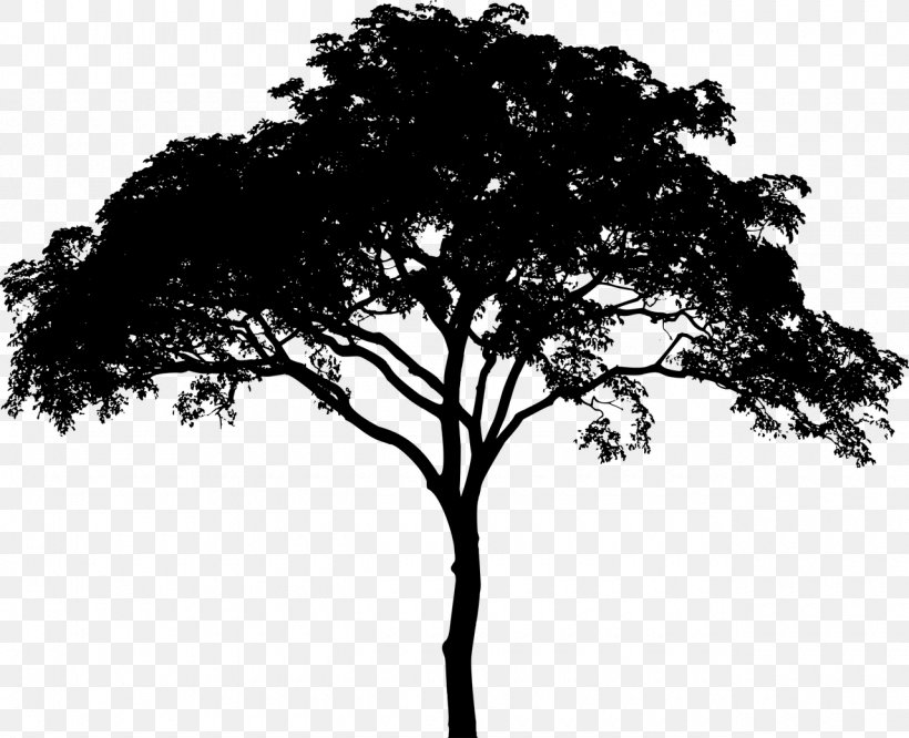 Tree Silhouette, PNG, 1280x1040px, Tree, Black And White, Branch, Leaf, Monochrome Download Free