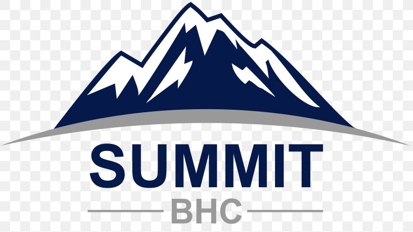 Baptist TWI Summit 2018 Business Summit Behavioral Healthcare, LLC 2018 Building Communities Of Recovery National Conference & Expo LOWCOUNTRY MENTAL HEALTH CONFERENCE, PNG, 818x461px, 2018, Business, Addiction, Area, Brand Download Free