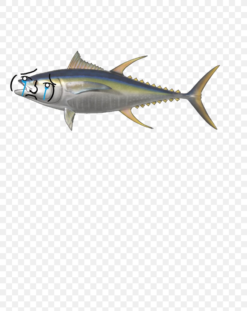 Bigeye Tuna Yellowfin Tuna Atlantic Bluefin Tuna Mackerel Fish, PNG, 774x1032px, Bigeye Tuna, Atlantic Bluefin Tuna, Bonito, Bony Fish, Fauna Download Free