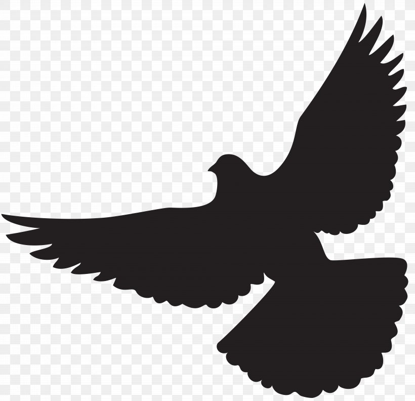 Bird Wing Bat Flight Lift, PNG, 8000x7727px, Columbidae, Art, Beak, Bird, Bird Of Prey Download Free