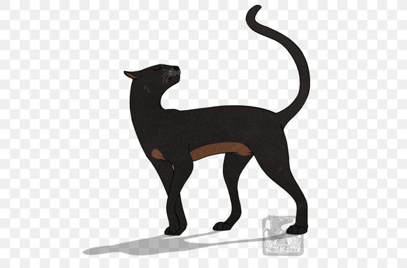 Cat Warriors Spiderleg Italian Greyhound Drawing, PNG, 524x540px, Cat, Animal Figure, Breed, Carnivoran, Cat Like Mammal Download Free
