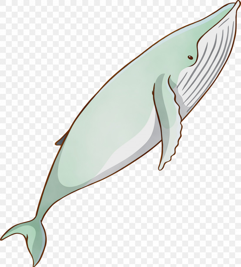 Fin Bottlenose Dolphin Cetacea Dolphin Blue Whale, PNG, 2703x3000px, Watercolor Whale, Blue Whale, Bottlenose Dolphin, Cetacea, Dolphin Download Free