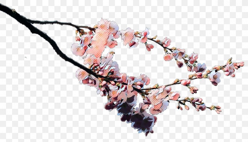 Cherry Blossom Tree Drawing, PNG, 1180x677px, Pop Art, Blossom, Branch, Cerasus, Cherries Download Free