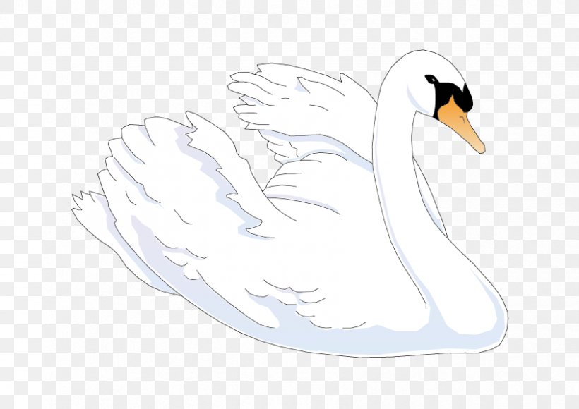 Duck Cygnini Cartoon Feather Illustration, PNG, 842x596px, Duck, Aile, Beak, Bird, Cartoon Download Free