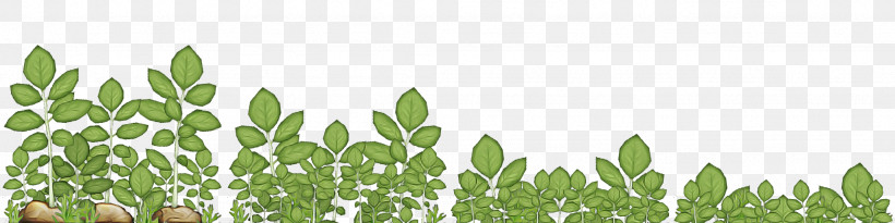 Plant Stem Leaf Wheatgrass Commodity Tree, PNG, 2048x512px, Plant Stem, Biology, Commodity, Crop, Leaf Download Free