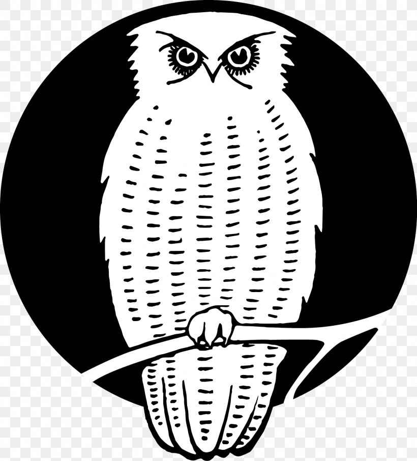 Owl Beak Bird Of Prey Clip Art, PNG, 1609x1779px, Owl, Artwork, Beak, Bird, Bird Of Prey Download Free