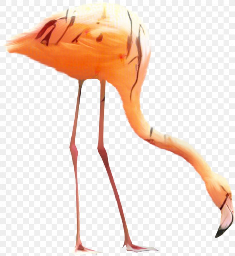 Clip Art Greater Flamingo Transparency, PNG, 1643x1786px, Flamingo, Beak, Bird, Greater Flamingo, Lossless Compression Download Free