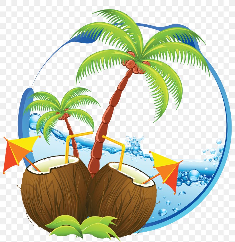 Royalty-free Clip Art, PNG, 800x843px, Royaltyfree, Arecaceae, Arecales, Art, Coconut Download Free