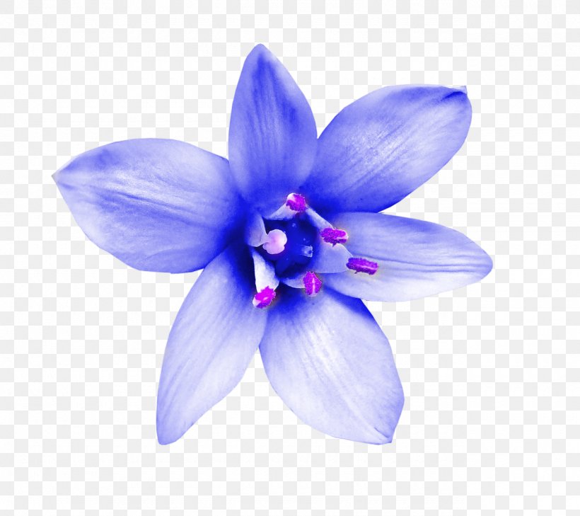 Flower Decorative Arts Floral Design, PNG, 1280x1138px, Flower, Art, Blue, Cobalt Blue, Data Compression Download Free