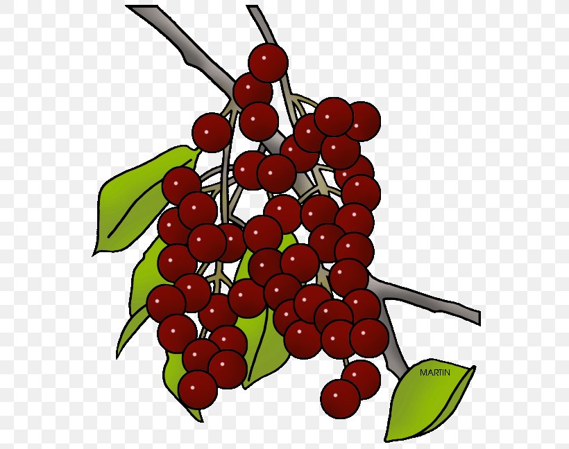 Visual Software Systems Ltd. Clip Art Presentation Berries Website, PNG, 588x648px, Visual Software Systems Ltd, Album, Animal, Berries, Berry Download Free