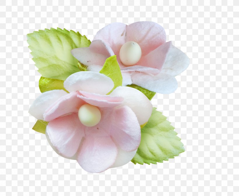 Cut Flowers, PNG, 1600x1316px, Cut Flowers, Blossom, Flower, Flowering Plant, Petal Download Free