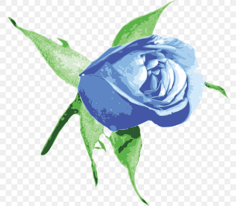 Best Roses Blue Rose Clip Art, PNG, 770x715px, Best Roses, Blue, Blue Rose, Compass Rose, Cut Flowers Download Free