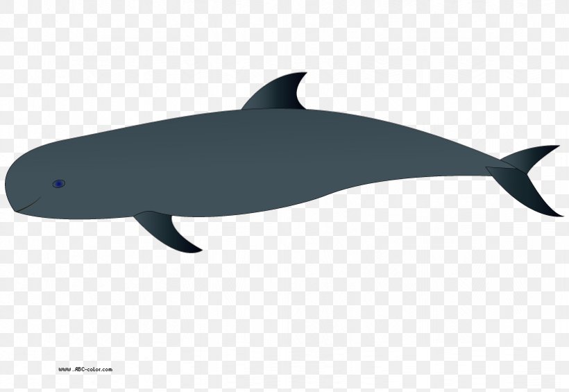Common Bottlenose Dolphin Tucuxi Baby Whale Clip Art, PNG, 822x567px, Common Bottlenose Dolphin, Baby Whale, Beluga Whale, Black, Blue Whale Download Free