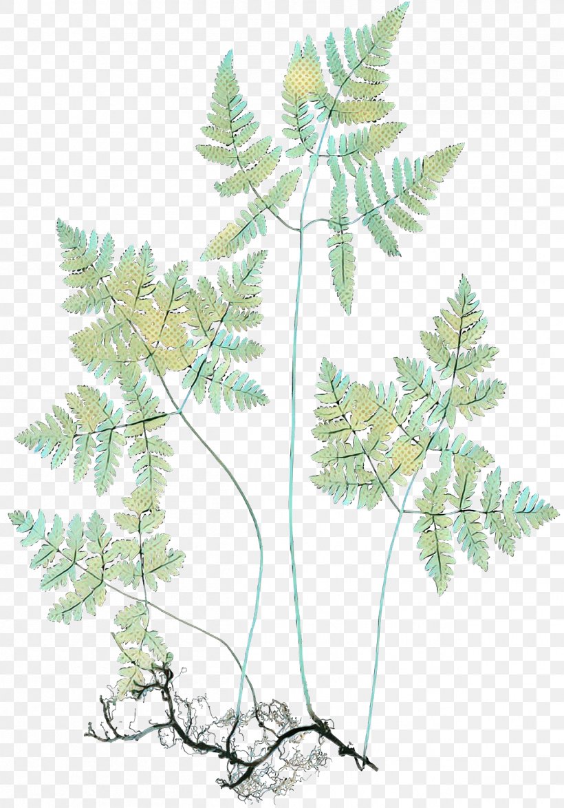 Family Tree Background, PNG, 1257x1800px, Pop Art, American Larch, Branch, Bregner, Fern Download Free