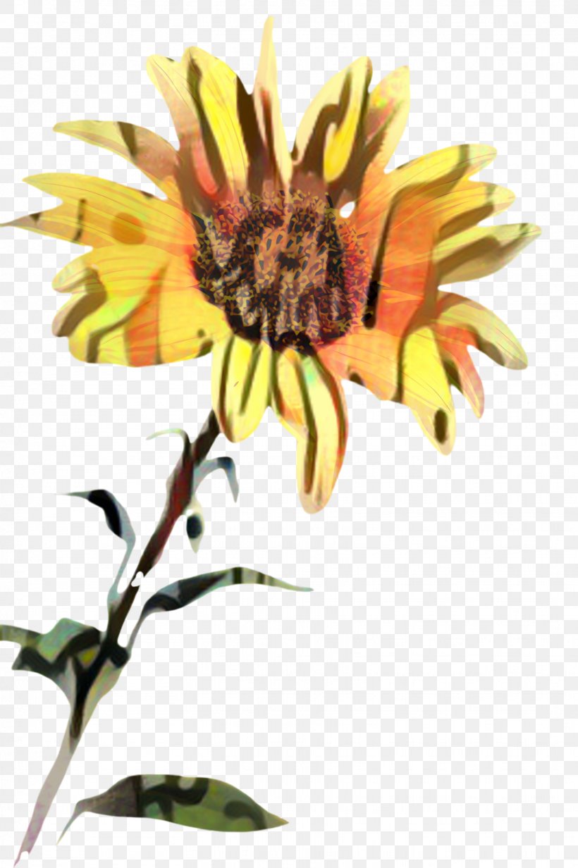 Flowers Background, PNG, 1631x2452px, Sunflower, Bloom, Common Sunflower, Common Zinnia, Cut Flowers Download Free