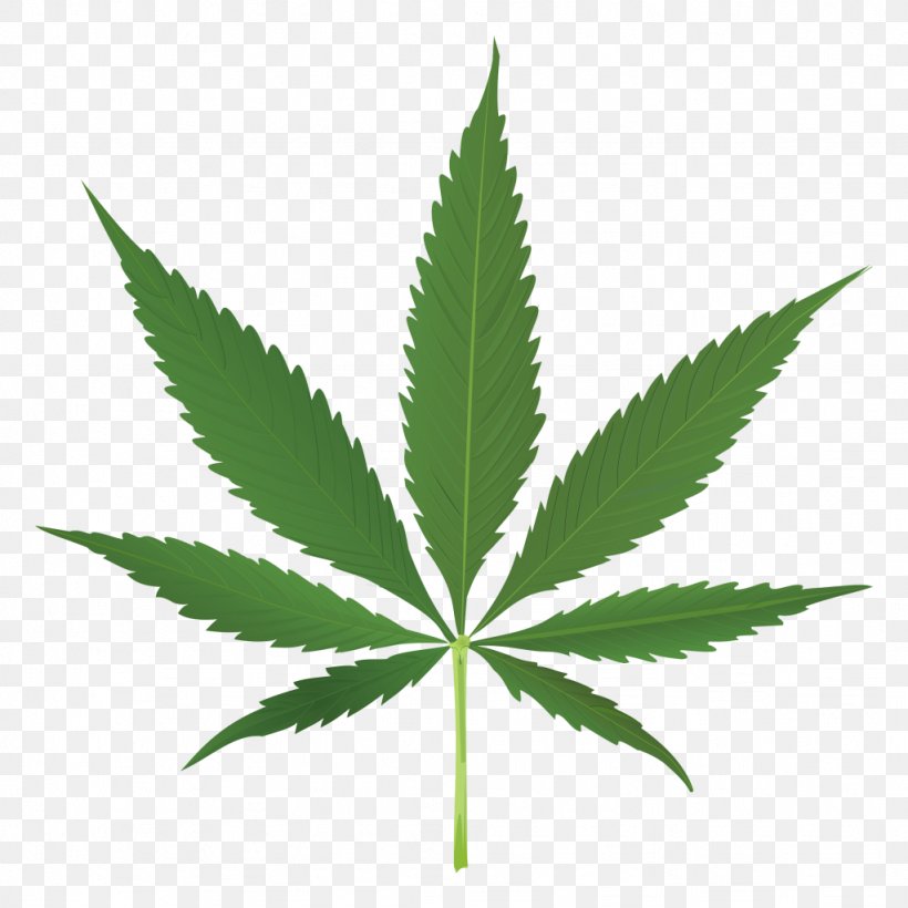Medical Cannabis Clip Art, PNG, 1024x1024px, 420 Day, Cannabis, Bong, Cannabinol, Drug Download Free