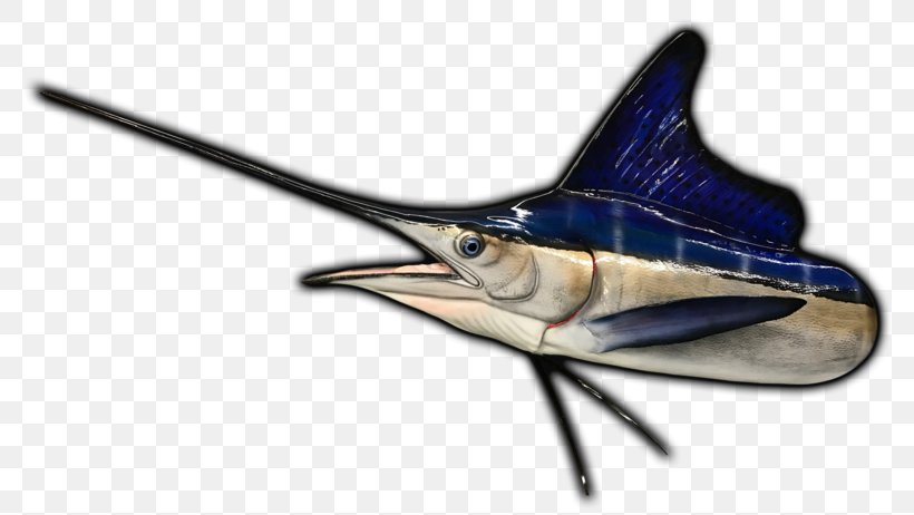 Swordfish Marlin Fishing White Marlin Atlantic Blue Marlin, PNG, 800x462px, Swordfish, Atlantic Blue Marlin, Billfish, Bony Fish, Coast To Coast Am Download Free