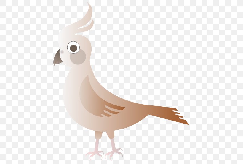 Umbrellabird Chicken Clip Art, PNG, 555x555px, Bird, Beak, Cartoon, Chicken, Duck Download Free