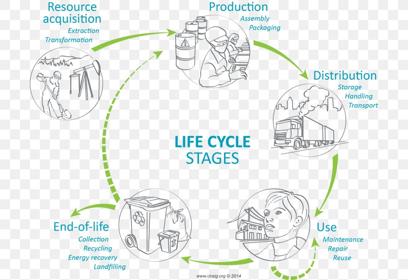Product Life-cycle Management Life-cycle Assessment Cycle De Vie Des Produits Biological Life Cycle, PNG, 700x562px, Watercolor, Cartoon, Flower, Frame, Heart Download Free