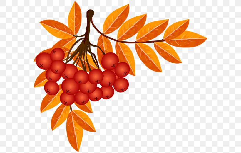 Autumn Season Play Clip Art, PNG, 600x522px, Autumn, Autumn Leaves, Child, Food, Fruit Download Free
