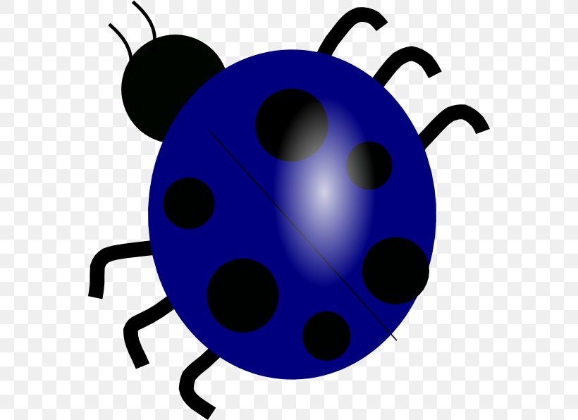 Beetle Ladybird Clip Art, PNG, 570x596px, Beetle, Artwork, Drawing, Insect, Invertebrate Download Free