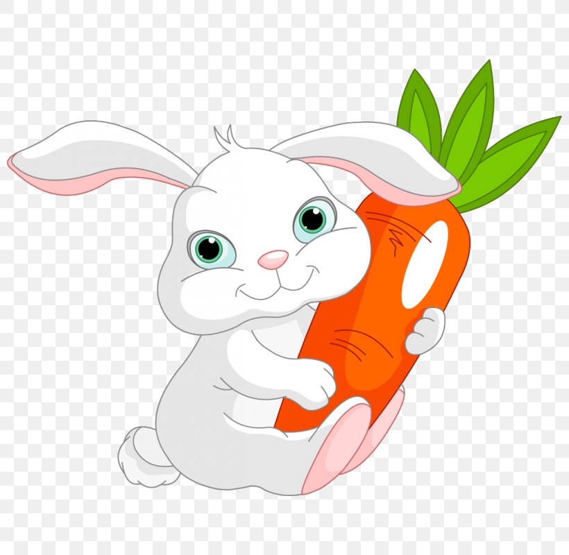 Domestic Rabbit Hare European Rabbit Clip Art, PNG, 800x800px, Rabbit, Animal, Carnivoran, Cartoon, Cat Download Free