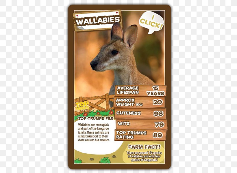 Winning Moves Top Trumps Kangaroo Card Game, PNG, 600x600px, Top Trumps, Animal, Board Game, Card Game, Deer Download Free