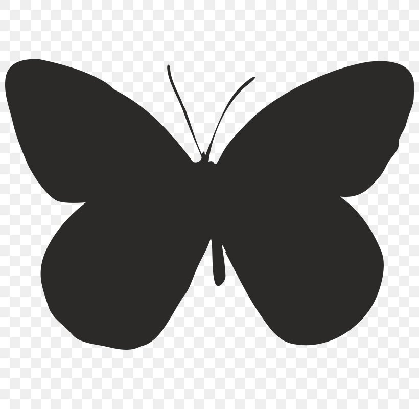 Brush-footed Butterflies Moth Butterfly Graphics Font, PNG, 800x800px, Brushfooted Butterflies, Arthropod, Black, Black And White, Black M Download Free