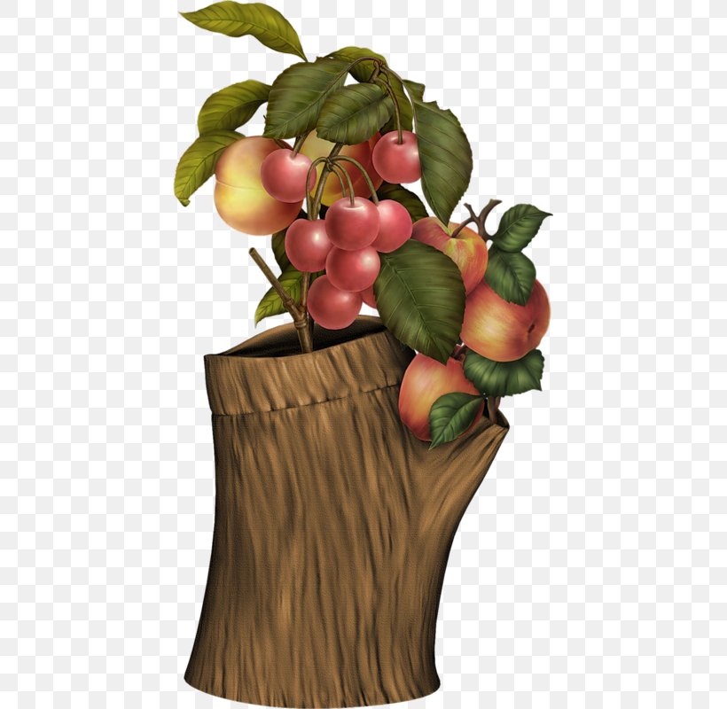 Fruit Peach Grape Berry, PNG, 429x800px, Fruit, Apple, Auglis, Berry, Flowerpot Download Free