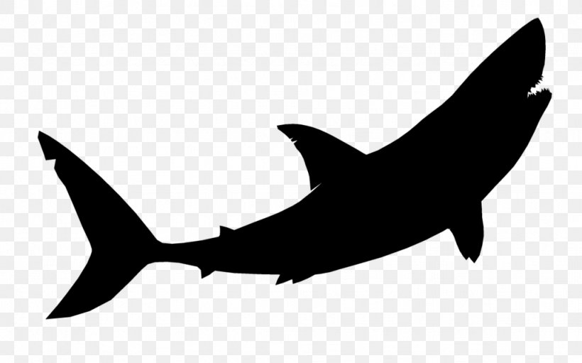 Great White Shark Image Tiger Shark Vector Graphics, PNG, 1024x639px, Shark, Baby Shark, Blackandwhite, Bull Shark, Carcharhiniformes Download Free