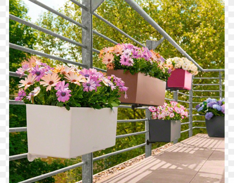 Color Flowerpot Balcony White Red, PNG, 975x760px, Color, Annual Plant, Backyard, Balcony, Cottage Download Free