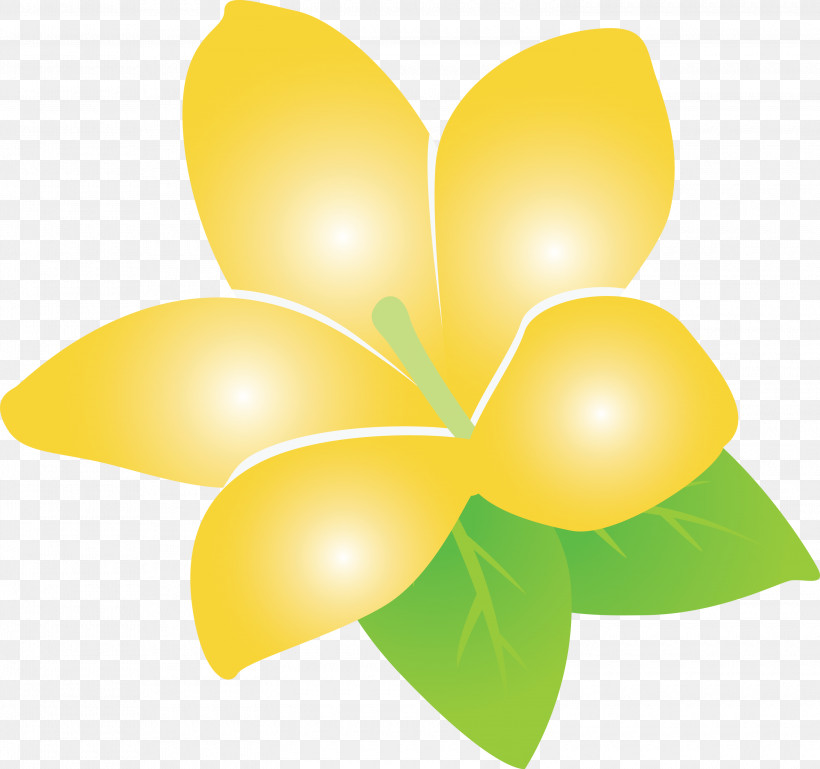 Jasmine Jasmine Flower, PNG, 3000x2814px, Jasmine, Biology, Fruit, Jasmine Flower, Leaf Download Free