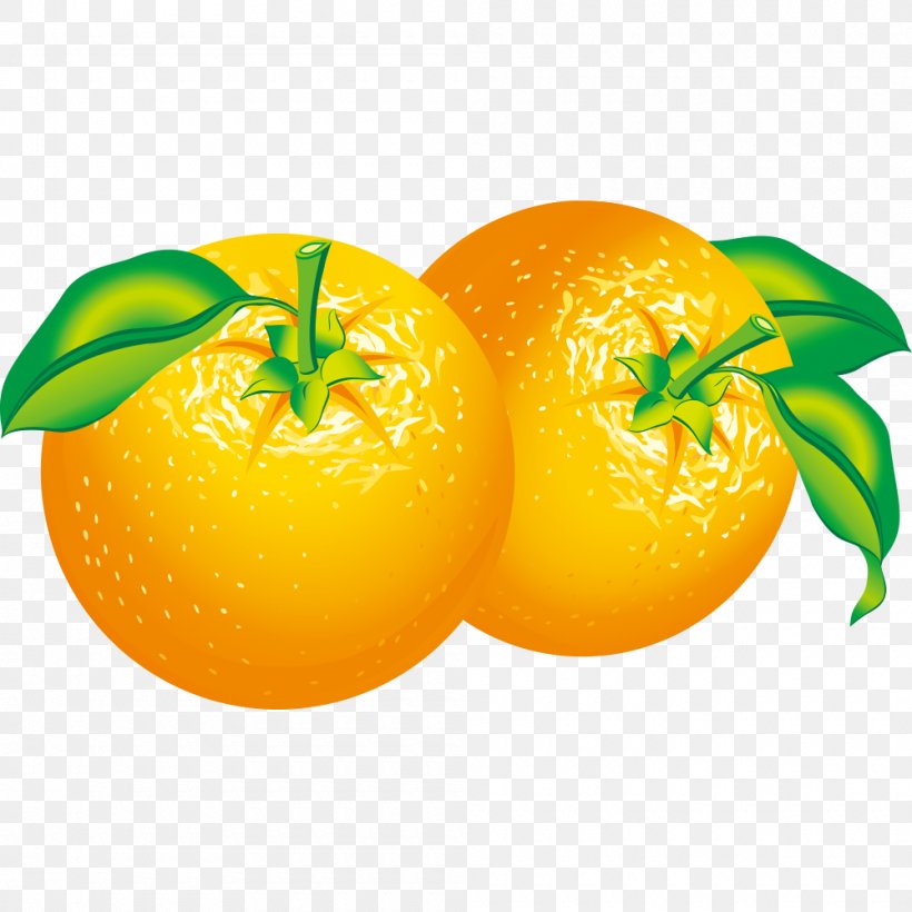 Orange Citrus Clip Art, PNG, 1000x1000px, Orange, Apple, Bitter Orange, Citric Acid, Citron Download Free