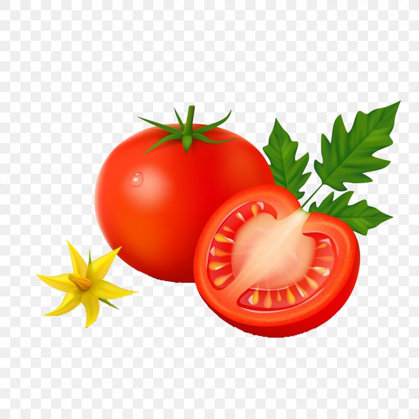 Vegetable Tomato Potato Cartoon, PNG, 1024x1024px, Vegetable, Auglis, Bush Tomato, Capsicum Annuum, Cartoon Download Free