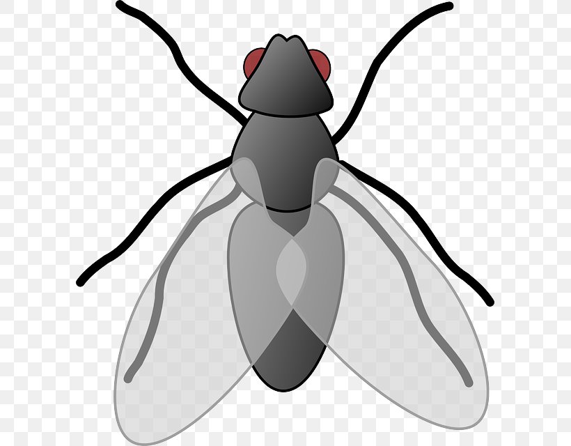 Clip Art Openclipart Free Content Fly Image, PNG, 601x640px, Fly, Arthropod, Artwork, Black And White, Black Fly Download Free