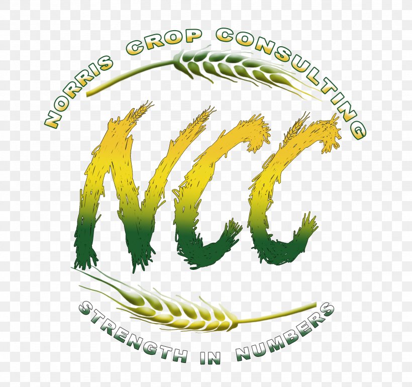 Consultant Crop Marketing Consulting Firm Farm, PNG, 2049x1926px, Consultant, Brand, Cereal, Commodity, Consulting Firm Download Free