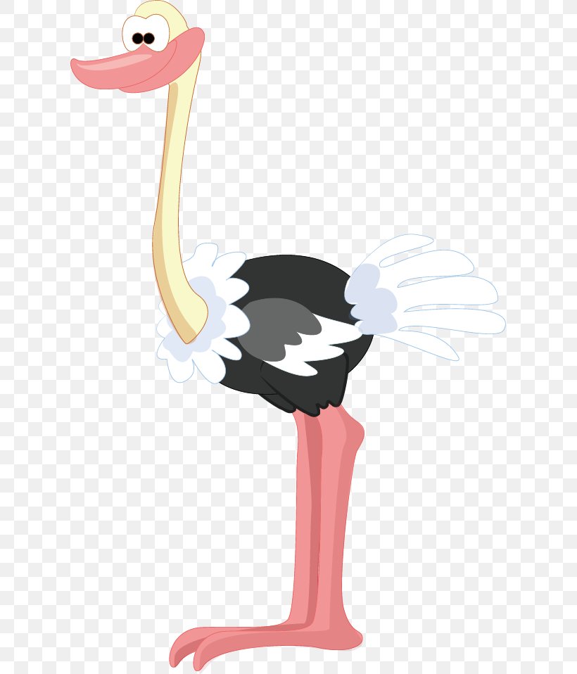 Common Ostrich Bird Animal Illustration, PNG, 619x958px, Common Ostrich, Animal, Beak, Bird, Cartoon Download Free