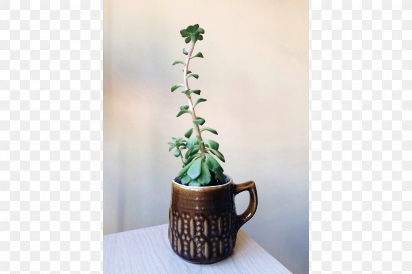 Houseplant Flowerpot Ceramic, PNG, 1024x682px, Houseplant, Ceramic, Flowerpot, Plant, Vase Download Free